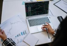 beginner stock investment guide