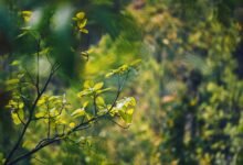 energy stocks expected growth