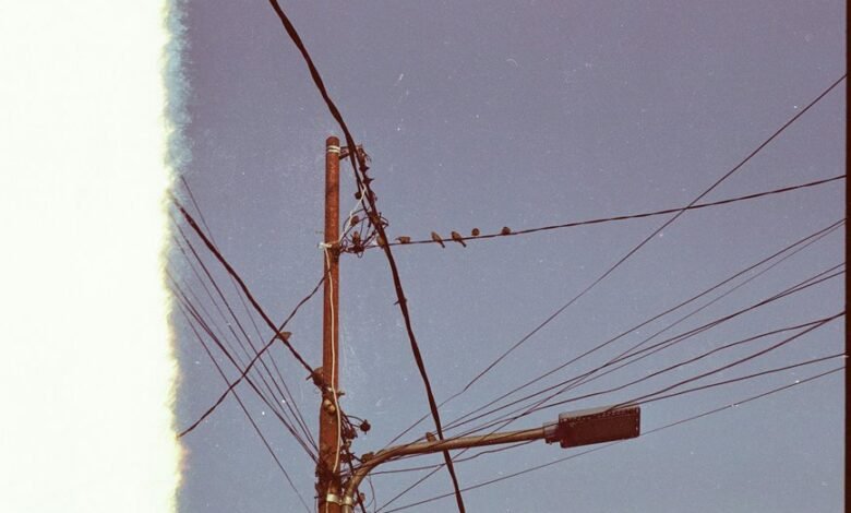 support line customer number