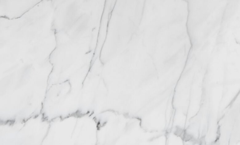 premium industry outlook analysis