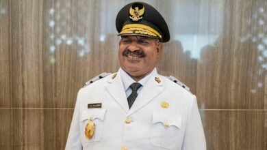 apex strategy authority structure