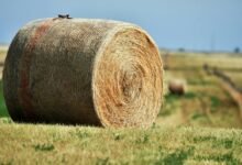 nova node expansion loop details