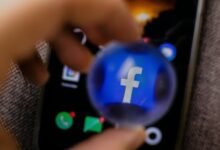 platform usage and account details summarize