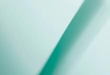 vector beam revenue hub