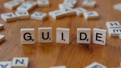 a beginner s guide overview