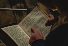 complete guide to tordenhertugvine