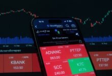 hanlerdos ltd stock overview