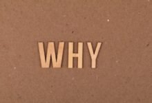 why 2107872680 gaining popularity